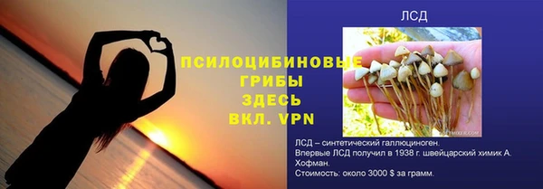 трава Арсеньев