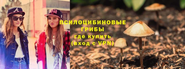 трава Арсеньев